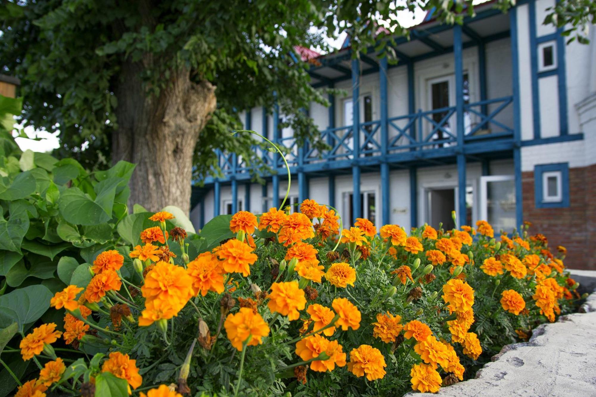 Mayak Resort Kam'yani Potoky Exteriér fotografie